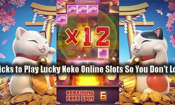 Tricks to Play Lucky Neko Online Slots So You Don't Lose